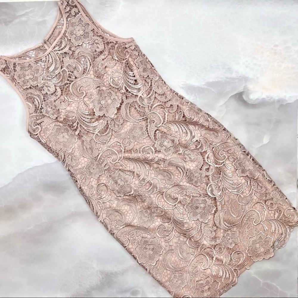 NWOT Adrianna Papell Lace Illusion Dress - Picture 2 of 8